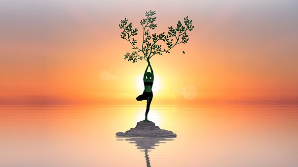 yoga- tree pose