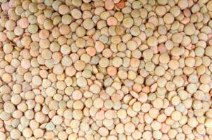 blood sugar-legumes