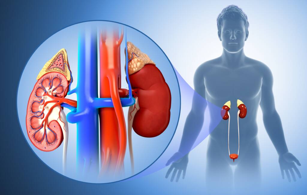 kidney disease