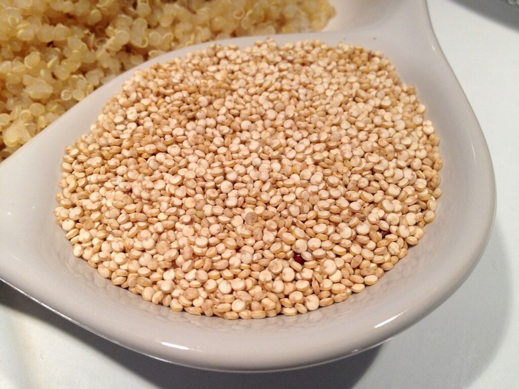 vegetarian protein rich foods-quinoa